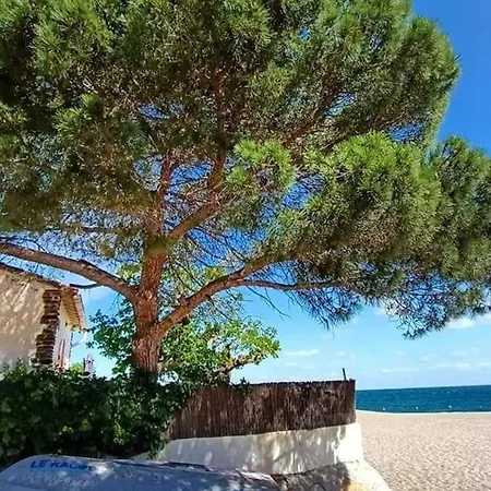 3 Pieces Avec Piscine Et Tennis, A 500m De La Plage, Climatise, Parking Prive - Fr-1-776-101 *